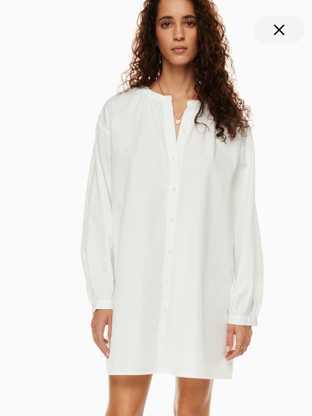 Aritzia Tanoro Poplin Dress